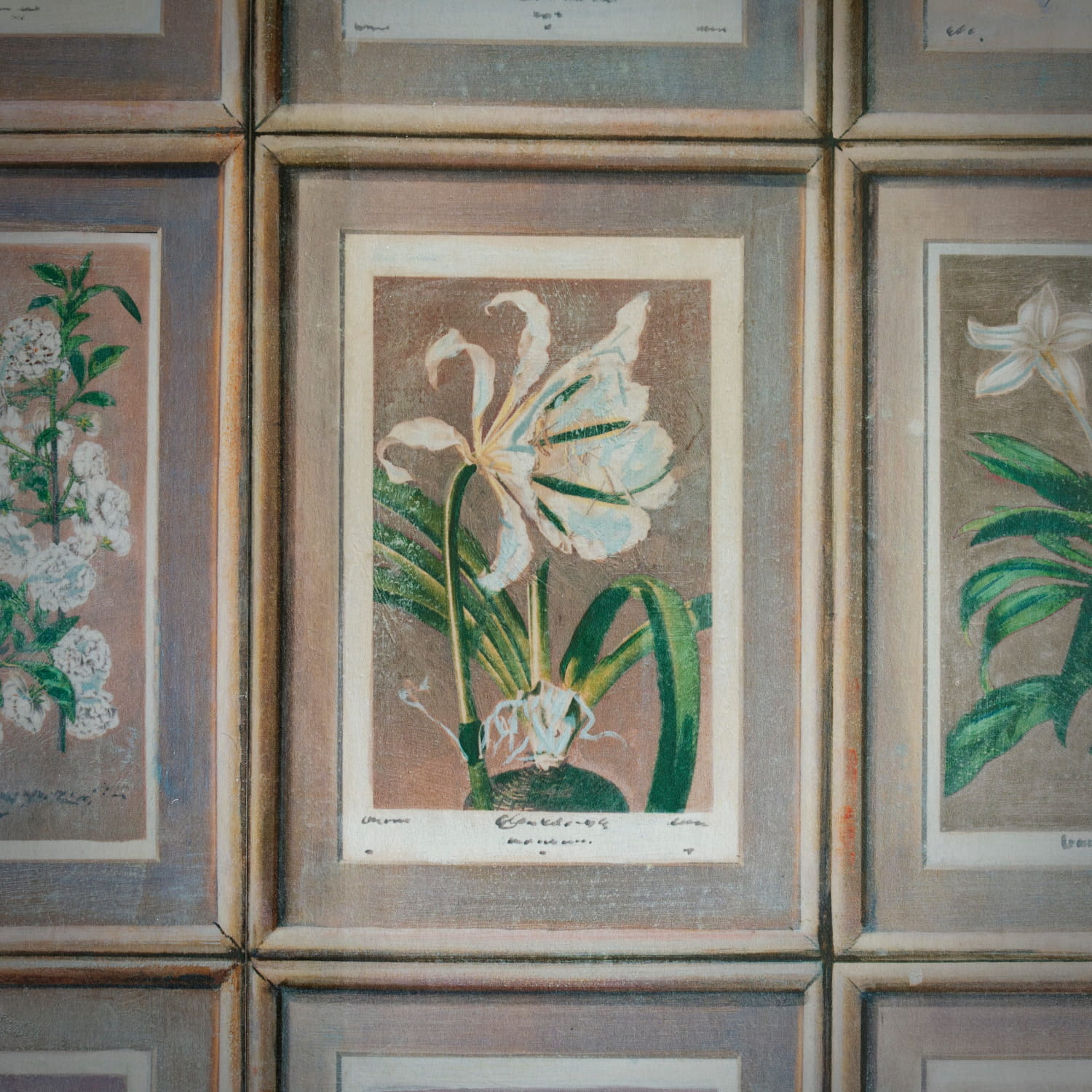 Tapete Floral - Curafl