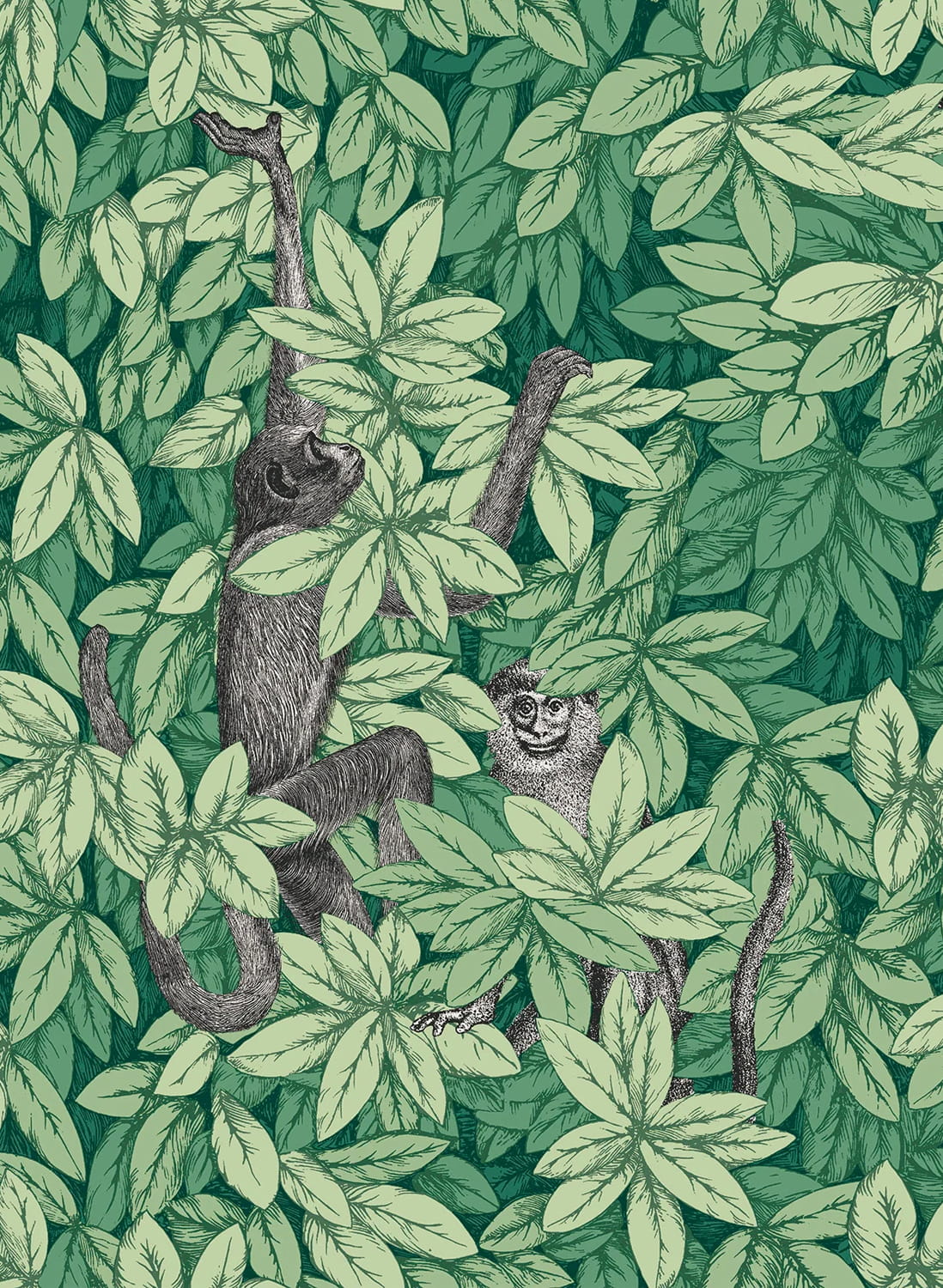 Tapete Foglie e Scimmie - Forest Green