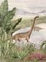 8822_2_Coordonne_Dinosaurs_Park_Pale_9700041-80877