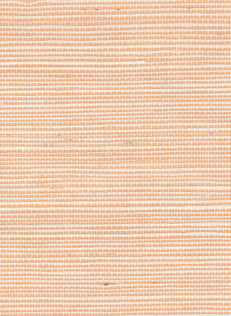 Tapete Sisal Métallique - RM 1073 50