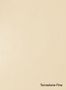 Terrastone-Fine-20-Champagner-Sienna-colour-sample-named-190592