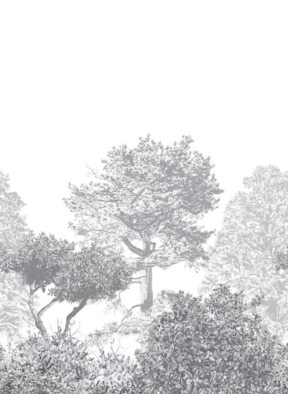 Wandbild Hua Trees - Grey