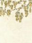 18225_02_Coordonne_Abril_YSP0640_-196083