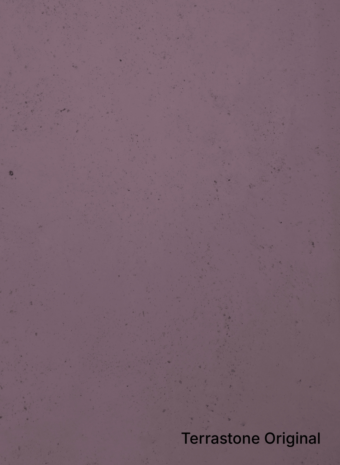 Aubergine - 32