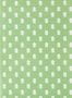18202_03_Scion_Ditsy_Daisy_113408-186036
