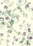 1880_4_cole_and_son_archive_anthology_sweet_pea-23357