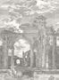 6889_1_Arte_Rovine_42560-86222