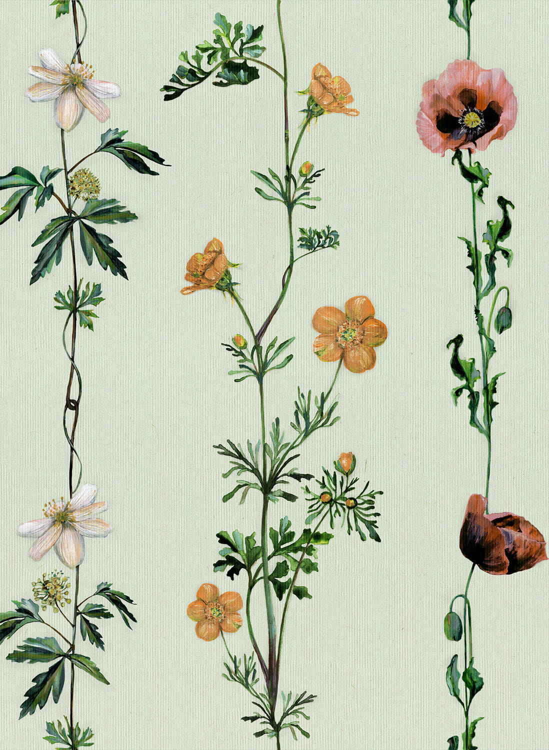 Tapete Climbing Flowers - Melon