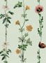 8505_3_Coordonne_Tapete_Climbing_Flowers_9500062-70057