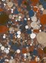 16446_02_Coordonné_Big_Bang_B00855-161338