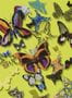 2177_4_christian_lacroix_butterfly_garden_pcl008-04-24370