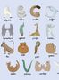 8817_3_Coordonne_Animal_Alphabet_Azure_9700142-80823