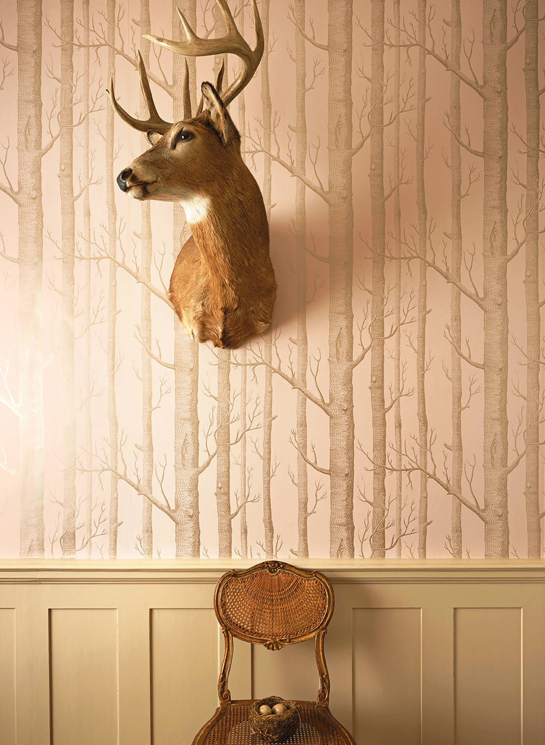 Tapete Woods - Pink/ Gilver