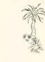 4703_1_paintandpaper_tresco_lighthouse_palm_pentle_0393lppentl-58247