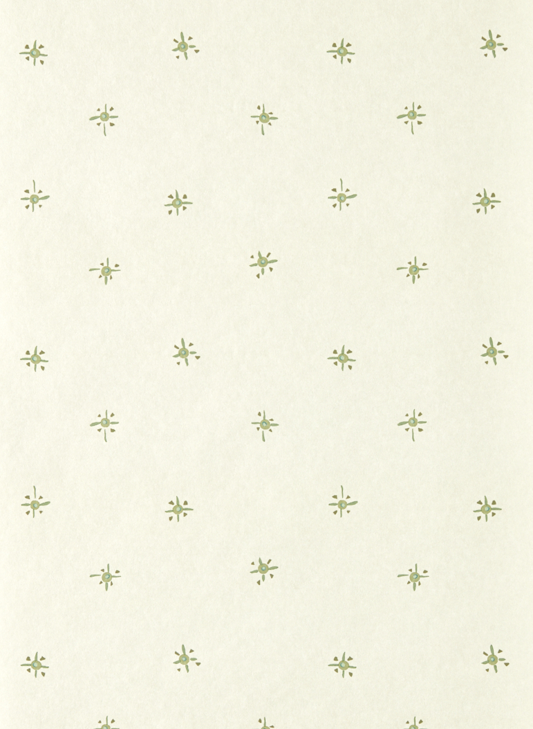 Tapete Tidam - Pine