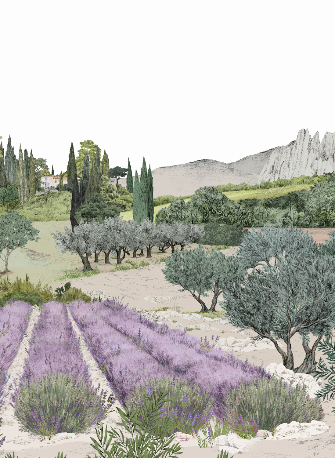 Wandbild Provence - Été Panel B
