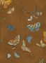 16522_02_Josephine_Munsey_Butterflies_JMW-104311-173503
