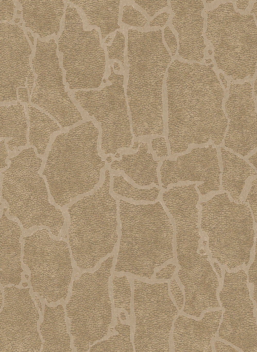 Tapete Skin - 300533