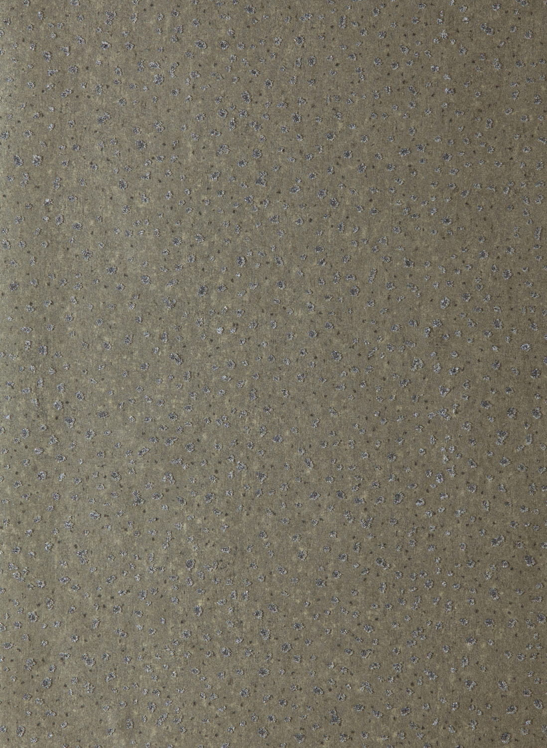Papier peint Foxy - Graphite