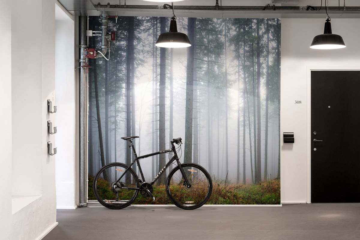 Wandbild Forest Glade