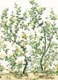 19515_01_Thibaut_Jardin_Bloom_T13666-191433