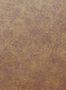 8428_10_Omexco_KAL9_Kaleidoscope_KAL9410-171051