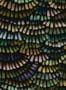 9409_3_Moooi_for_Arte_Dandelion-Cranes_MO4022-91521