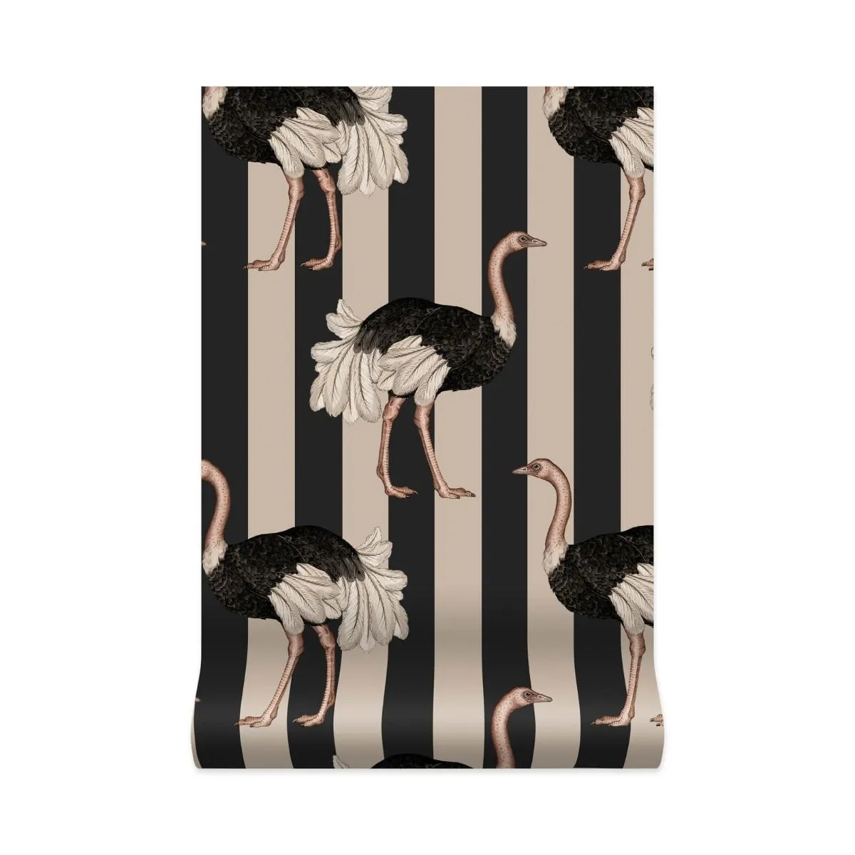 Tapete Pride - Clay & Off-Black