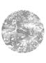 7190_3_Wandbild_Engraved_Landscapes_13_Circle_Kek_Amsterdam_BC_045-62906