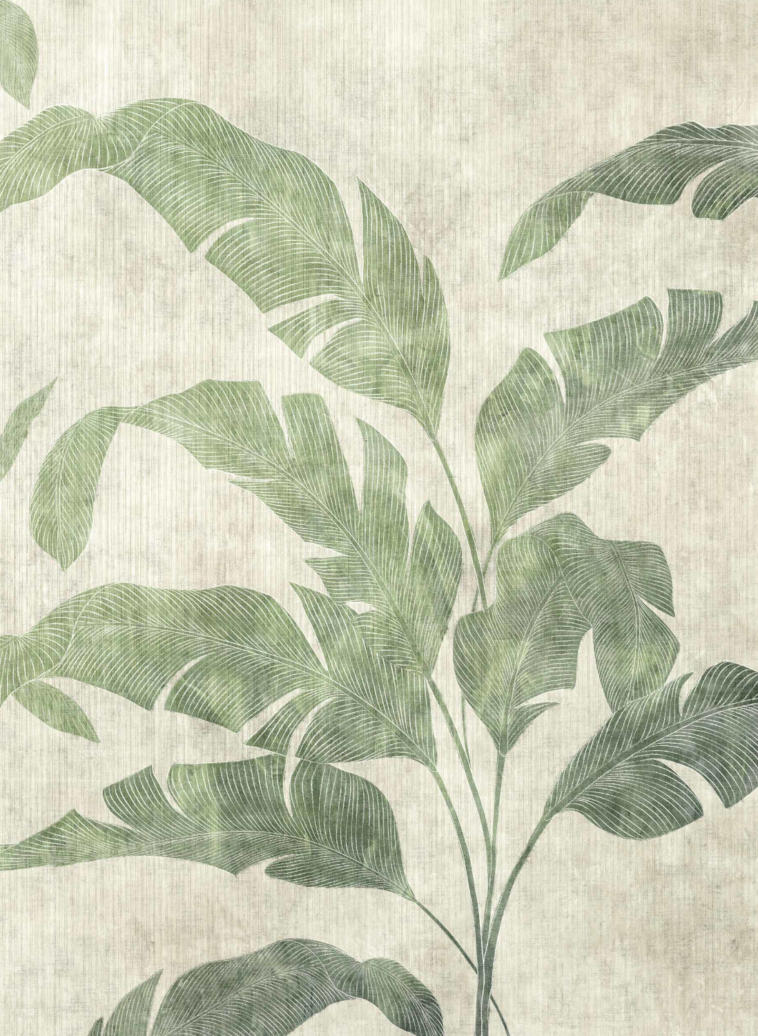 Wandbild Leaves Shadow - Leaves