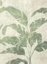 17042_4_Coordonné_Leaves_Shadow_B00468N-144713