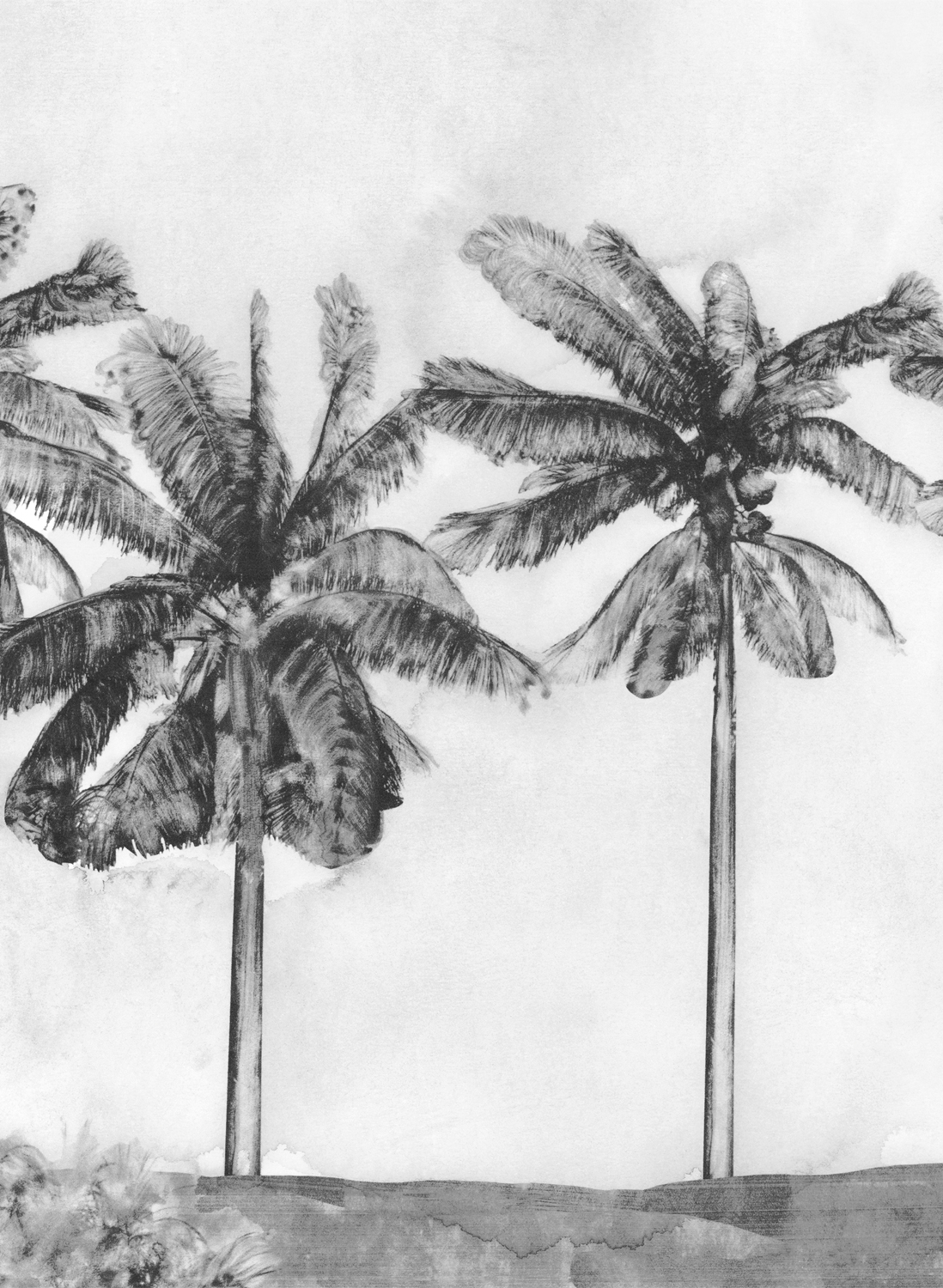 Wandbild Paradise - Pirate