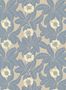 14718_2_Langelid_von_Broemssen_Primula_38-41-117366