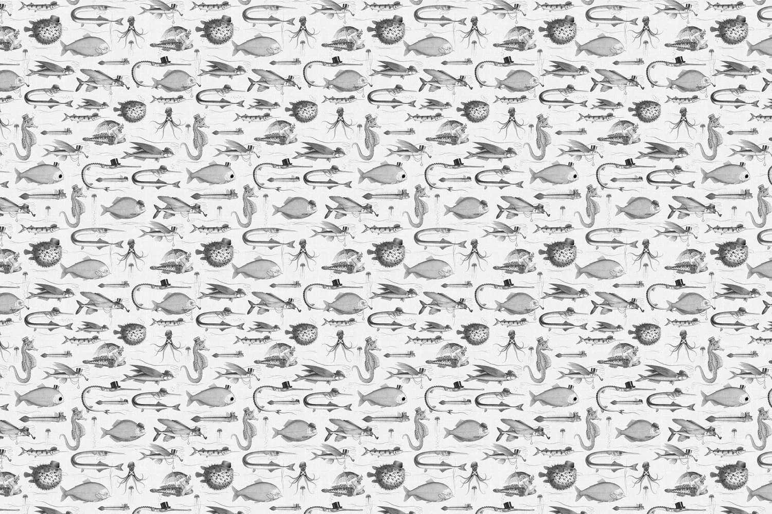 Tapete Dandy Fish - WP-803