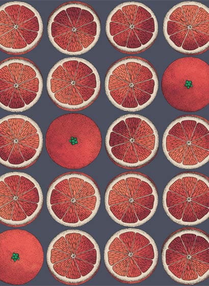 Tapete Arance - Blood Orange and Ink