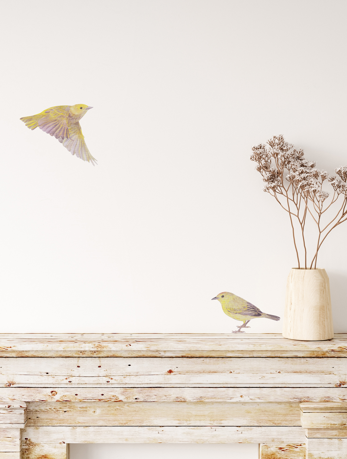 Wandsticker Warbler Bird