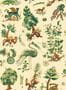 17544_01_GP_&_J_Baker_Gertrude_BW45127.1-152170