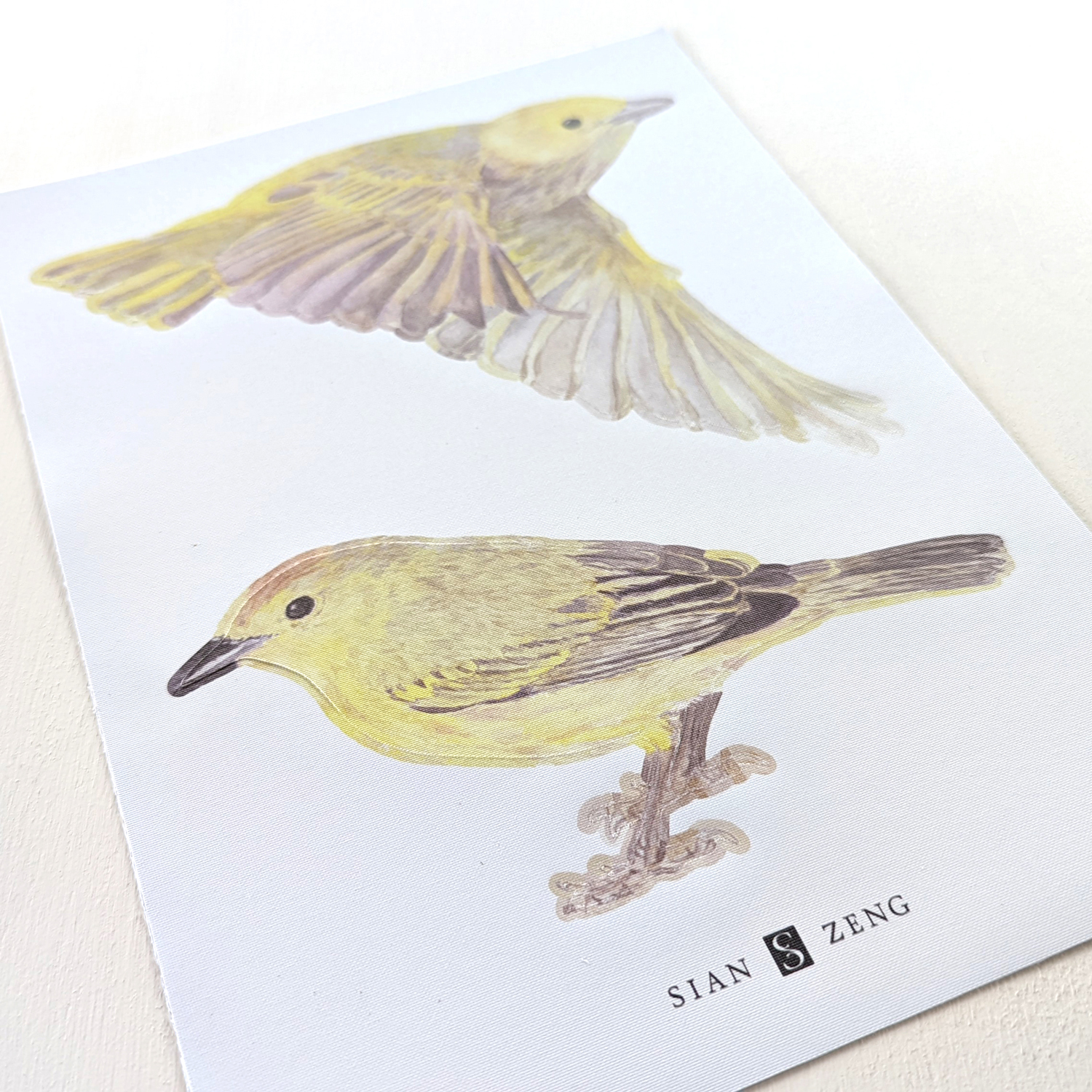 Wandsticker Warbler Bird - Yellow