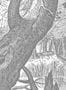 7179_1_Wandbild_Engraved_Landscapes_4_Kek_Amsterdam_WP_646-62723