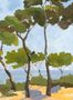 15395_06_Isidore_Leroy_Lerins_6266607-181769