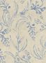 16037_5_Mindthegap_Wallflower_WP20824-115511