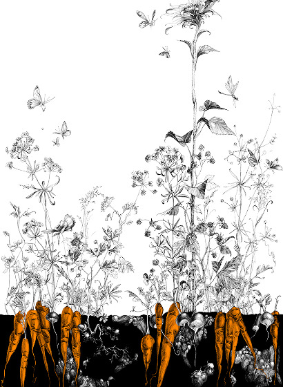 Tapete Lièvres/Fenouil/Tournesol - Noir Orange - Tournesol Droit - Noir Orange Doré