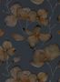 4201_3_harlequin_kienze_111959-32195