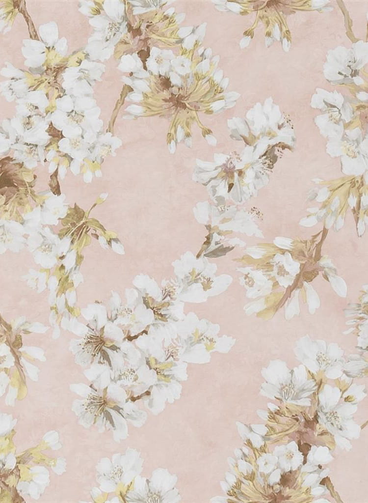Tapete Fleur D Assam - Cameo