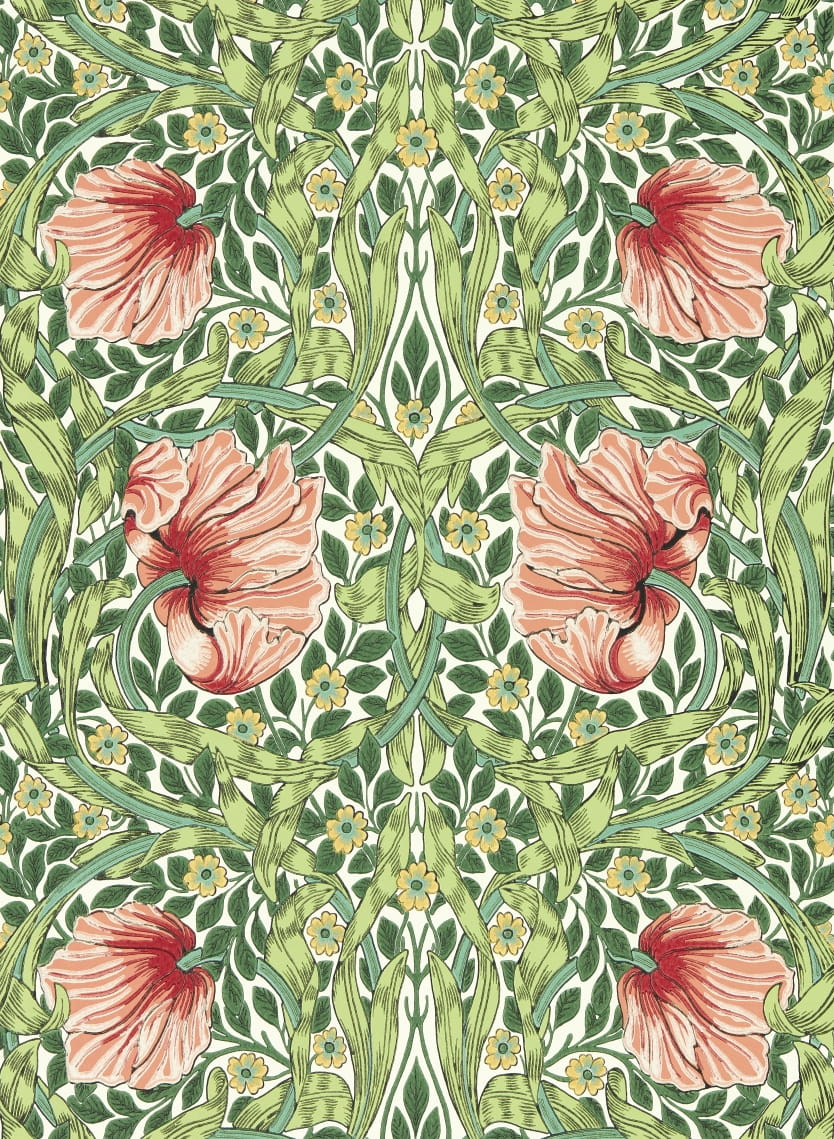 Tapete Pimpernel - Shamrock/ Watermelon