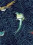 3107_4_nobilis_amazone_cos143-28297