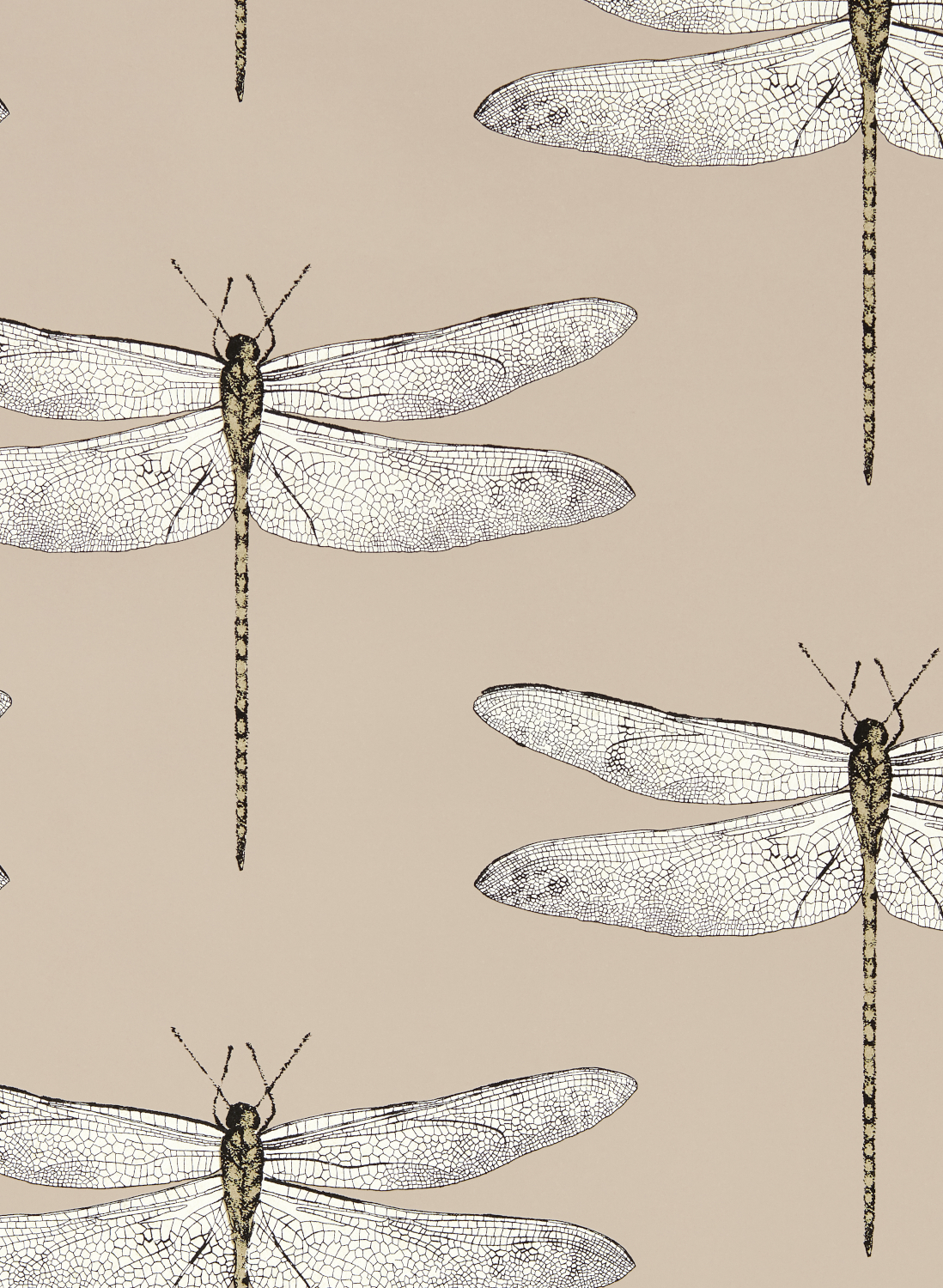 Tapete Demoiselle - Positano/ First Light/ Taupe
