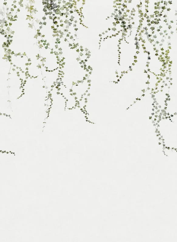 Wandbild Aralia - Moss-Green