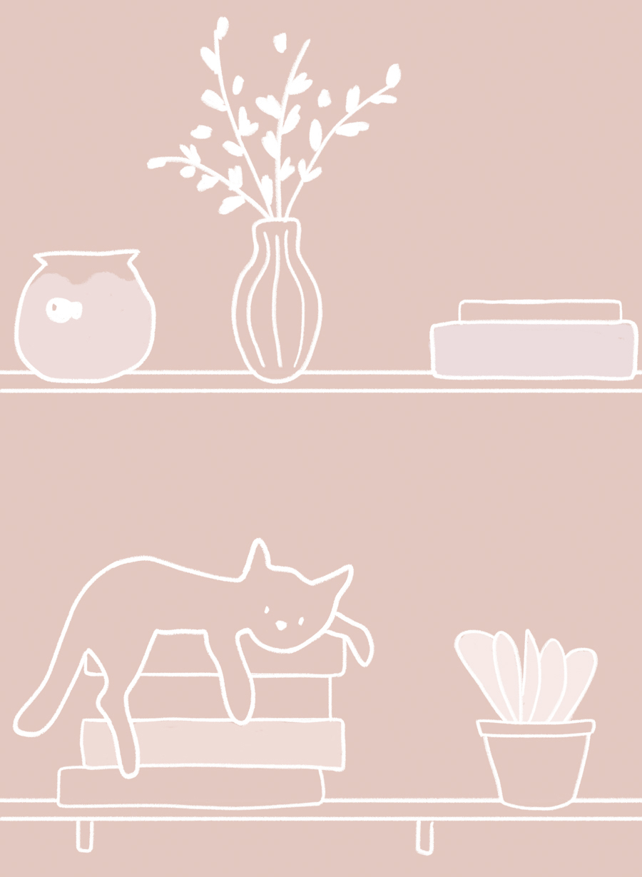 Tapete My Library - Pinky