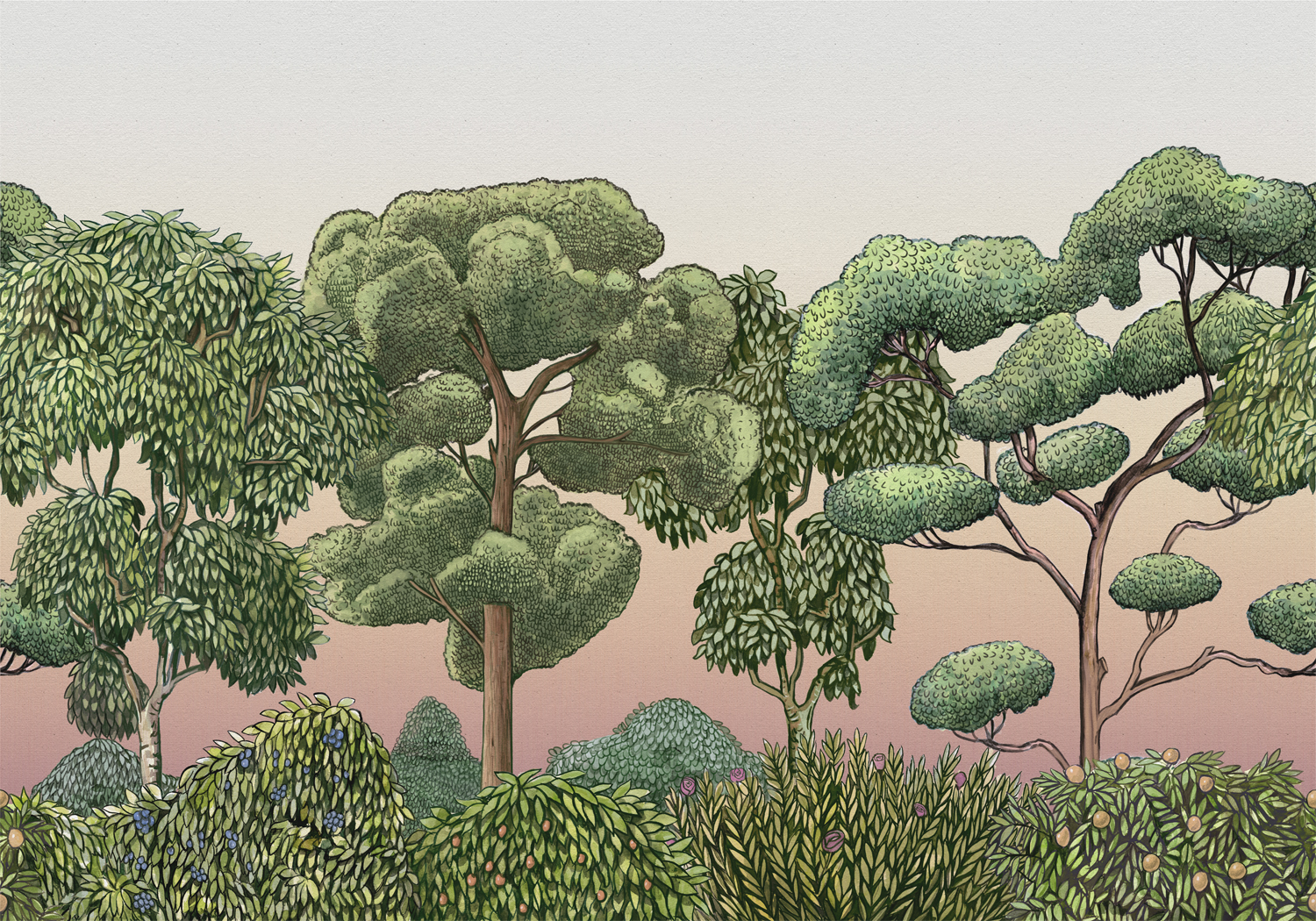 Wandbild Green Forest - Dawn